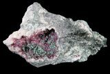 Roselite and Cobaltaustinite on Dolomite - Morocco #159424-1